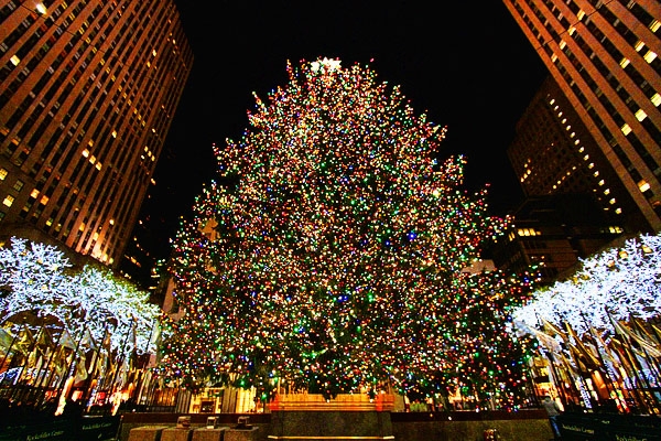 nyc-christmas-2011-11___