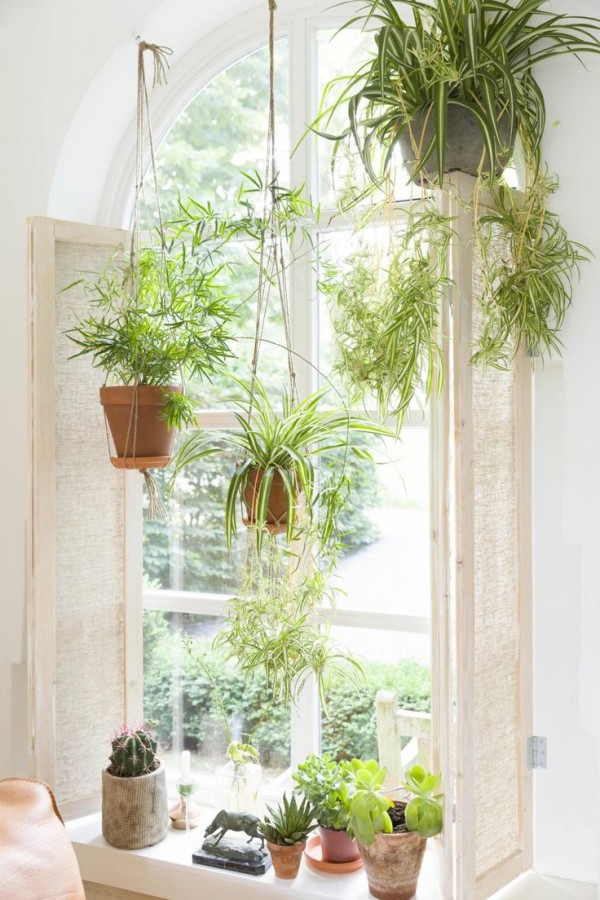 others-beautiful-white-window-sill-decor-idea-with-white-window-white-flowers-in-the-white-pot-green-plants-in-the-brown-pots-with-white-bowls-green-