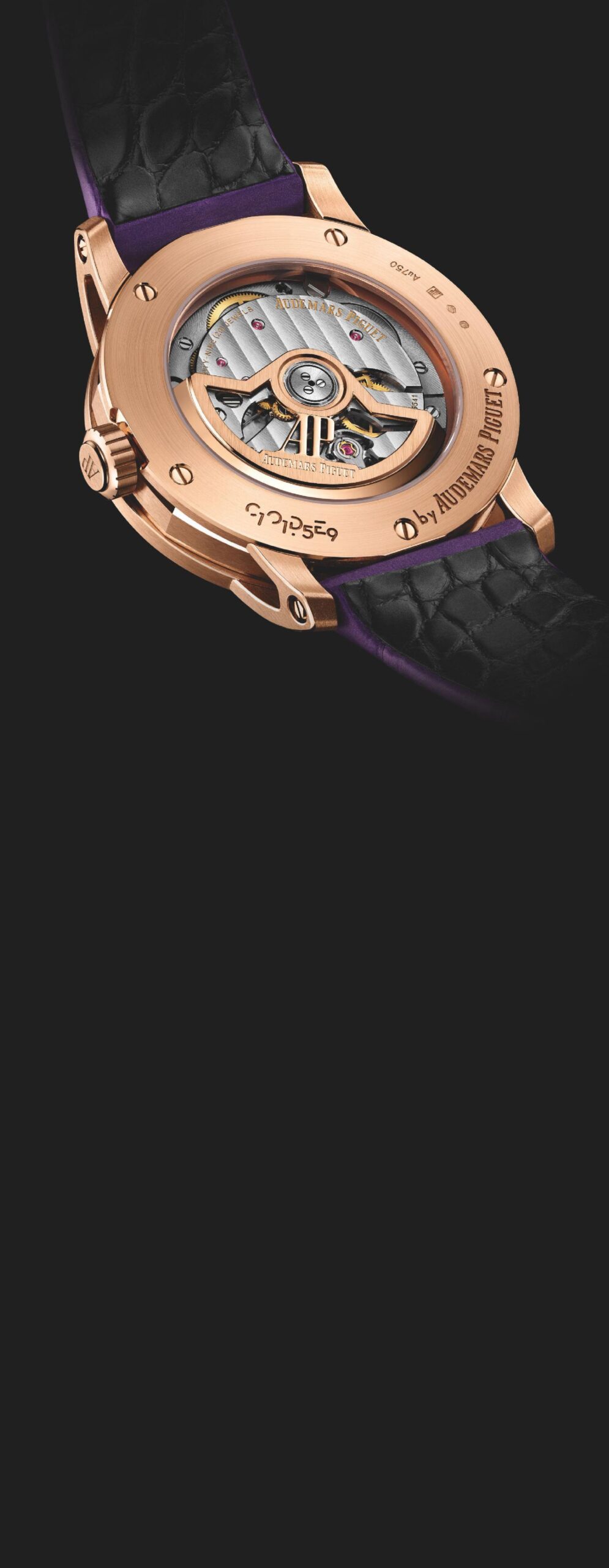 Watch 5