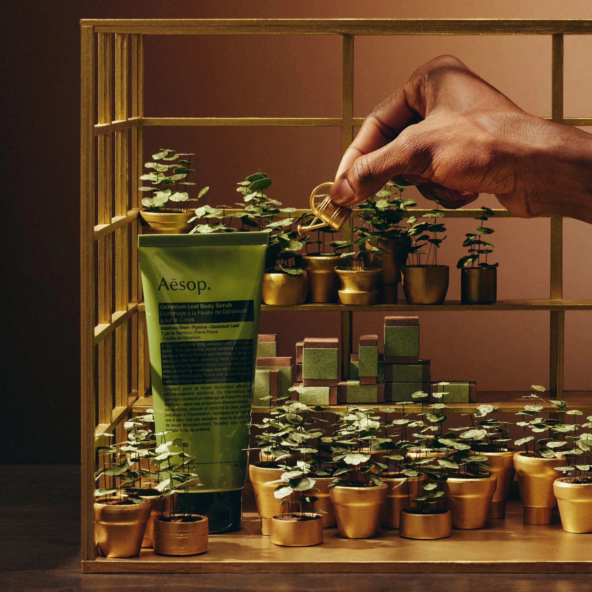 Aesop Festive Gift Kit 