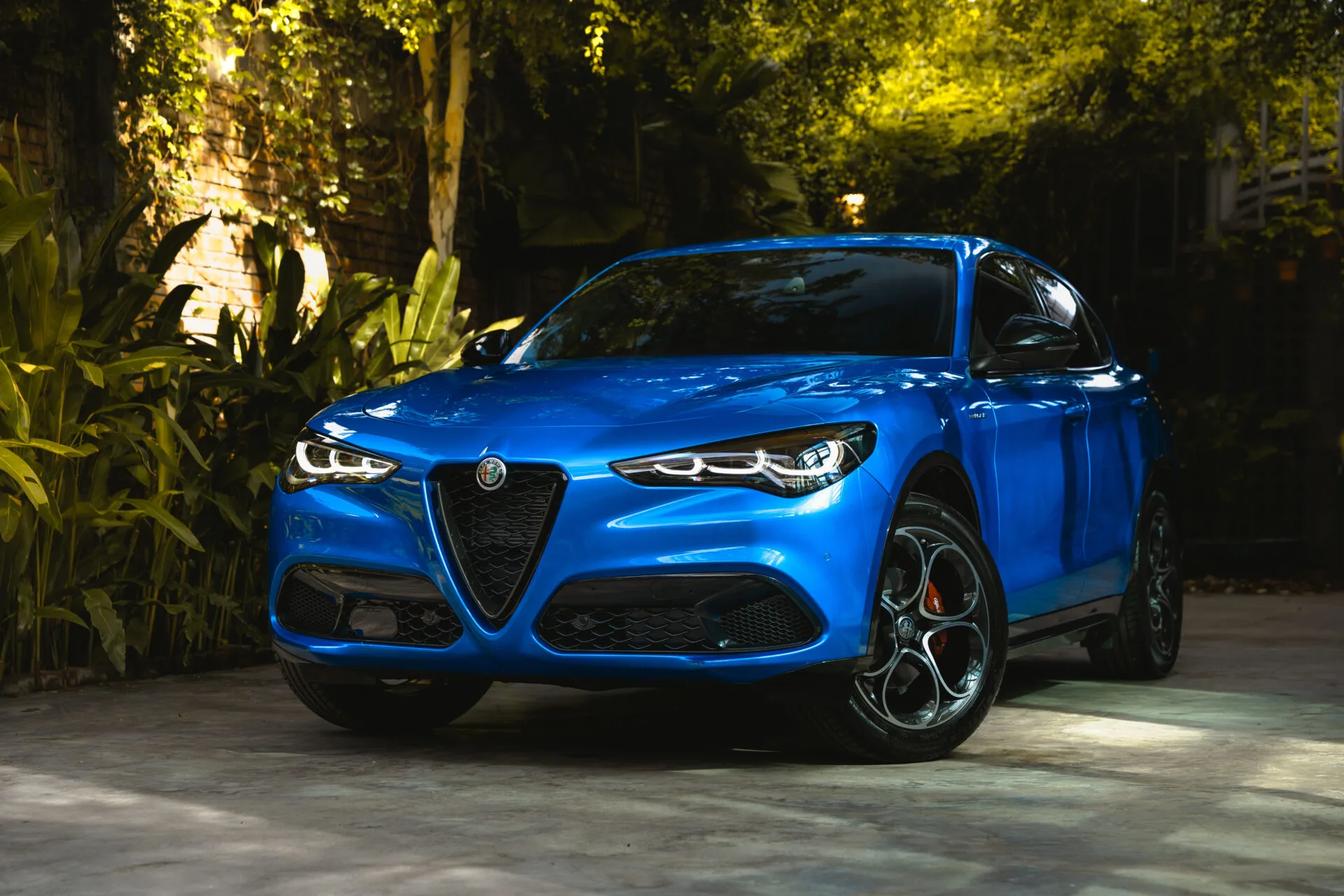 alfa romeo